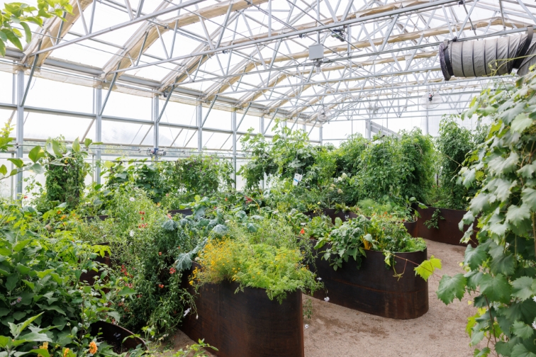 The Home Ranch greenhouse interior