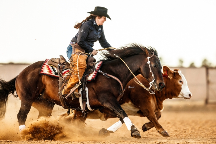 The Home Ranch’s equine program trains some of the top ranch and performance cow horses in the country