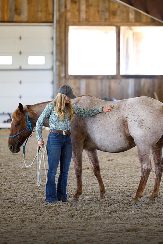 Horsemanship classes at The Home Ranch in Clark, Colorado.