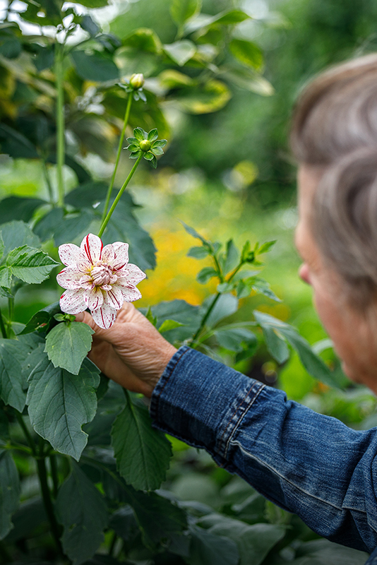 The Farm at Home Ranch is brim with fresh produce year-round.