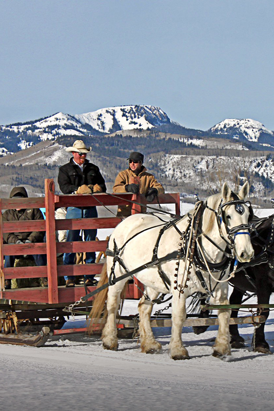 Carriage and sleight rides at The Home Ranch in Clark, Colorado.