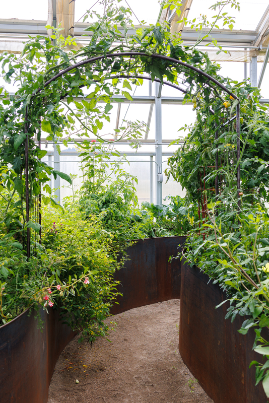 Home Ranch's climate-smart farming techniques and alpine greenhouses, boasts a consistent supply of year-round fruits and vegetables