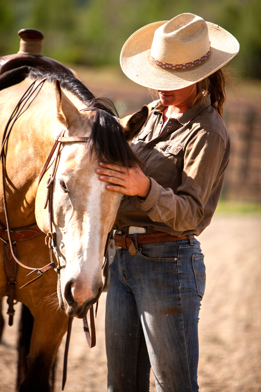 A stunning horse at The Home Ranch in Clark, CO.