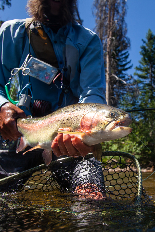 Fishing is one of the many exclusive group event experiences at The Home Ranch in Colorado.