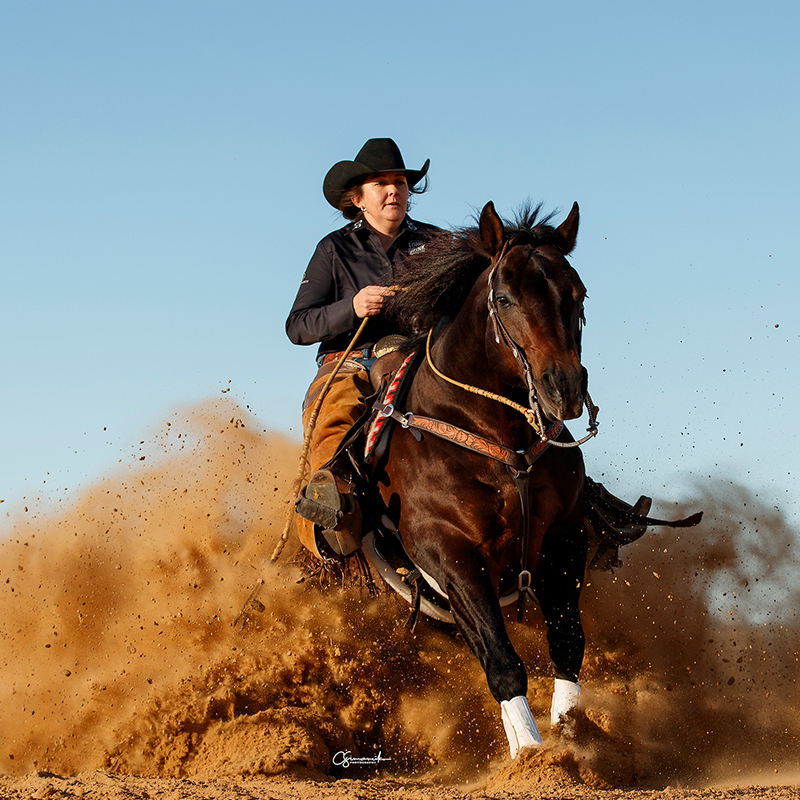 The Home Ranch's horse program is an equine program led by some of the most skilled trainers and wranglers in the country.