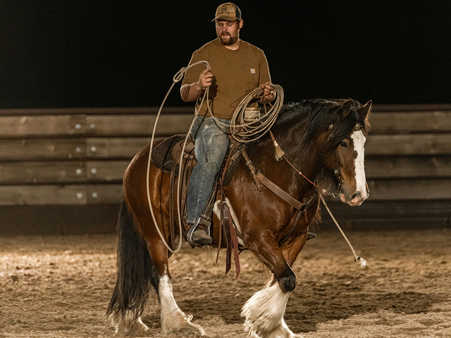 The Home Ranch's ranch horse, Bernie, is a Gypsy Vanner Horse and looks like a small Budweiser Clydesdale.