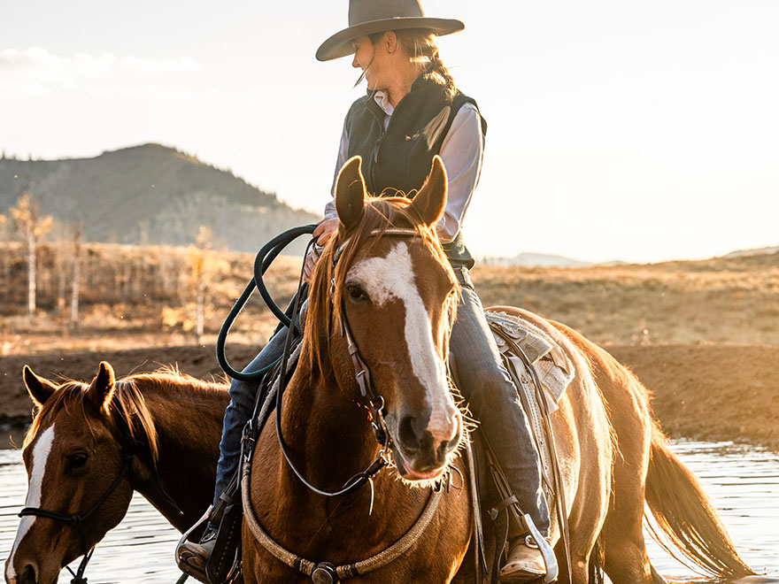 The Home Ranch's ranch horse, Mike, is a handsome Chestnut Quarter Horse gelding and, as our resident model, is a go-to for nearly all photo shoots.