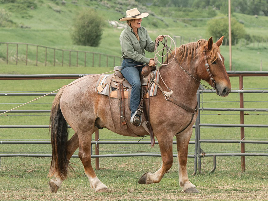 The Home Ranch's ranch horse, Omaha, is a Red Roan Percheron/Quarter Horse cross and is truly the MVP of any Home Ranch event.