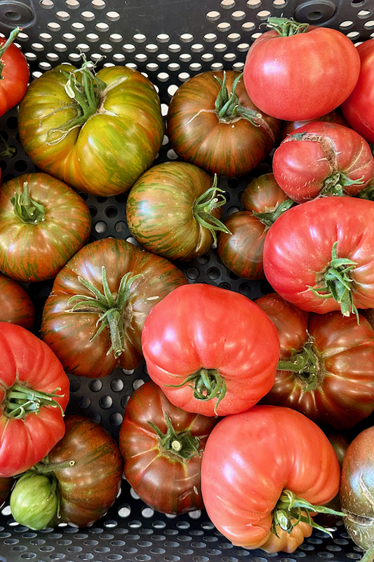 Home Ranch's climate-smart farming techniques and alpine greenhouses, boasts a consistent supply of year-round fruits and vegetables