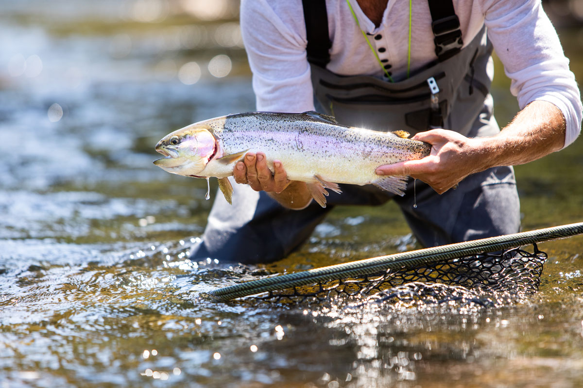 Fishing at The Home Ranch luxury, western ranch in Clark, Colorado.