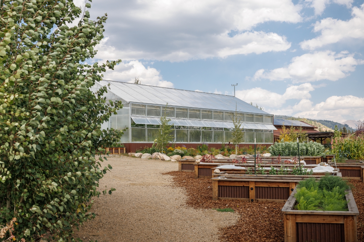 Home Ranch's climate-smart farming techniques and alpine greenhouses, boasts a consistent supply of year-round fruits and vegetables